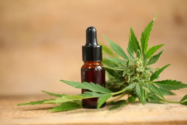 CBD & Hemp